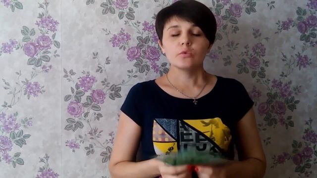 извиняться будете перед своими детьми а мы снова получили зп 11 11 16 смотреть онлайн