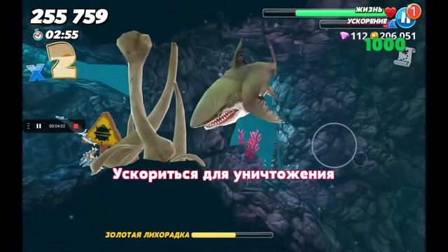 Мегалодон в Хангри Шарк Ворлд