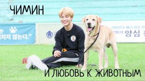 ПАК ЧИМИН | ЛЮБОВЬ К ЖИВОТНЫМ