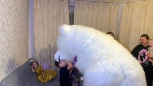 Веселый Визит: Когда Детей Поздравил Белый Медведь Аниматор!