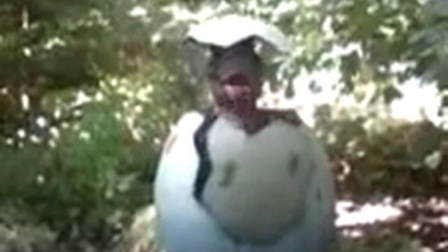 Dinozaur który wychodzi z jajka смотреть онлайн