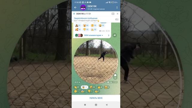 друг дена задушил кобру! 😨 смотреть онлайн