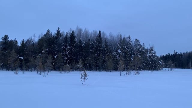 Утрянка на рябчика_юж.Аган смотреть онлайн