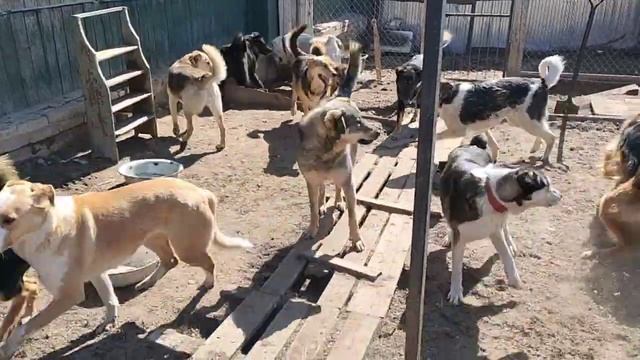 Камал и солнечный зайчик🤗🤩 смотреть онлайн