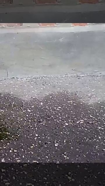 5 Февраля, Подснежники, Весна?!))