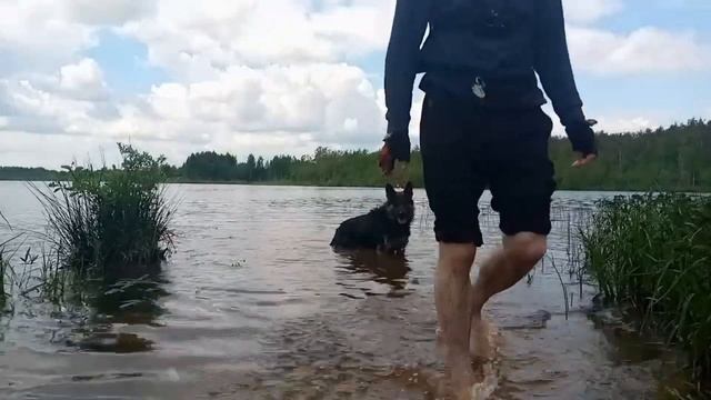 Чип смотреть онлайн