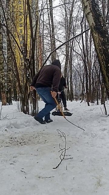 Включение собаки на охрану по команде. Ева. #стафф смотреть онлайн