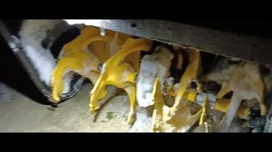 Освещение на снегоуборщике