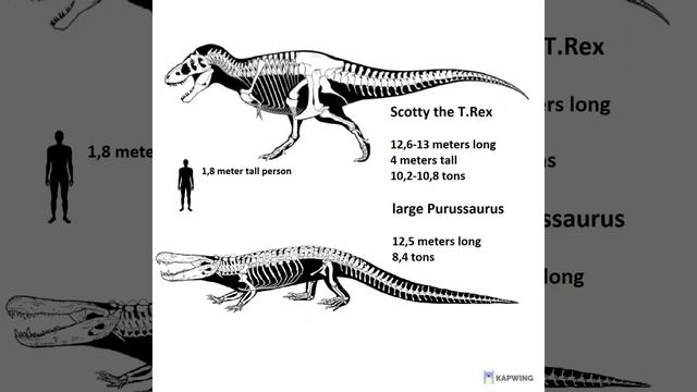 T.Rex and Purussaurus Brasiliensis size comparison смотреть онлайн