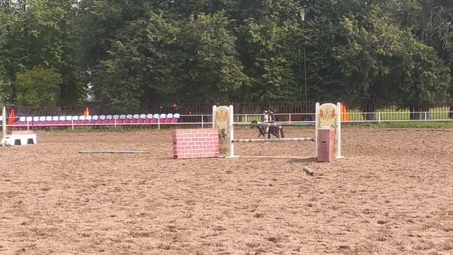 Репетиция перед соревнованиями "Кавалетти с хендлером" смотреть онлайн