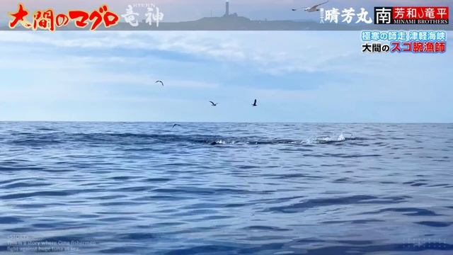 大間のまぐろ 竜神［第2巻|奇跡のリベンジ］マグロ漁師 晴芳丸 南兄弟 死闘の決戦 冬の陣 巨大まぐろを追いかける 延縄漁 釣り漁船 津軽海峡 おおま りゅうじん смотреть онлайн