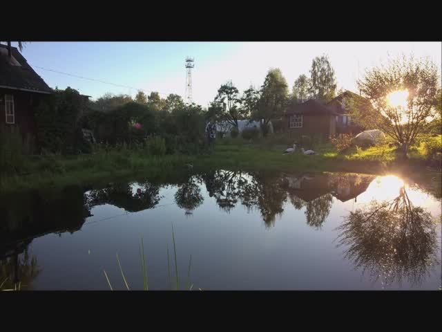 Одинокая гармонь ( Б. Мокроусов, М. Исаковский)  #cover