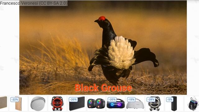 Часть 1: слово 7: детерев! смотреть онлайн