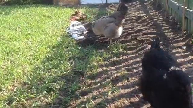 Весенний день смотреть онлайн