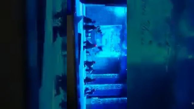 Пираты. KKK Dance studio смотреть онлайн