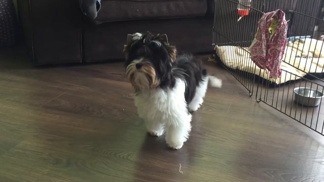 13 марта 2016 г. смотреть онлайн