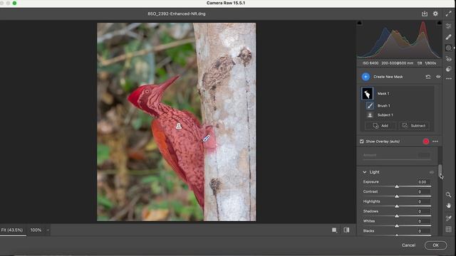 "Optimize Your Wildlife Photography: Step-by-Step Post-Processing Guide"| Hindi смотреть онлайн