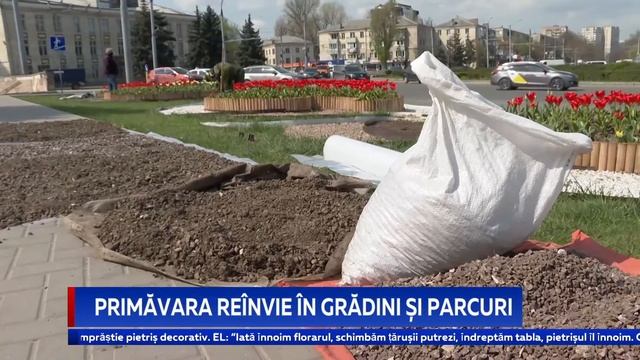 Primăvara reînvie în grădini și parcuri смотреть онлайн