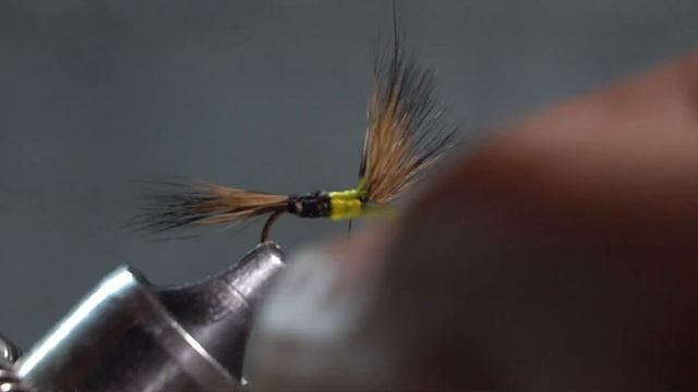 Grizzly Wulff смотреть онлайн