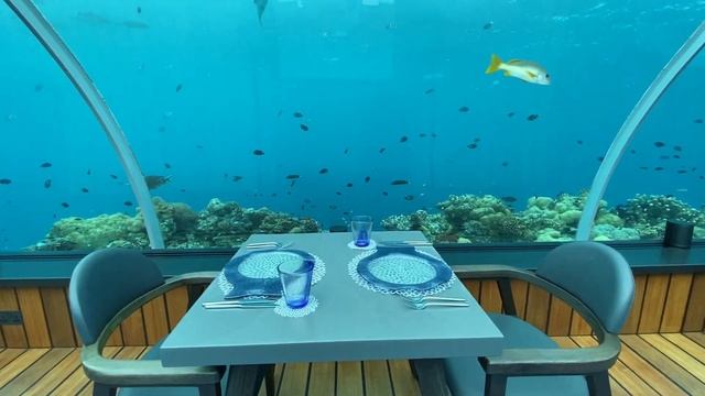 5.8 Restaurant: WORLD'S BIGGEST UNDERSEA RESTAURANT (Experience + Full Menu!) смотреть онлайн