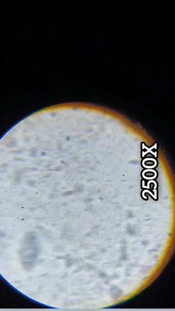 Banana DNA Under Microscope смотреть онлайн