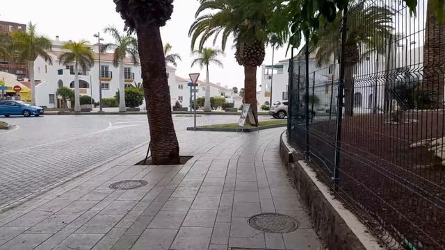 TENERIFE - The BEST Surprise Ever... смотреть онлайн