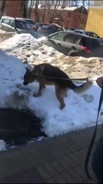 VID 20190218 WA0013 смотреть онлайн