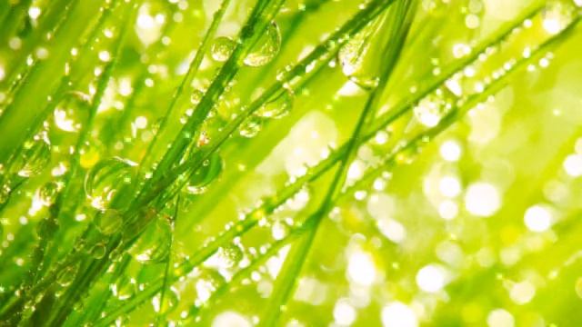 Без Слов. Without words смотреть онлайн