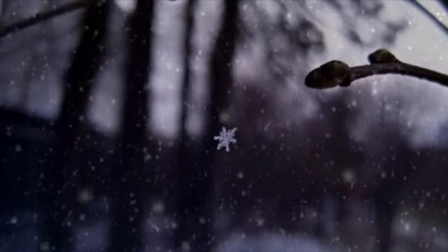 БЕЛЫЙ МЕНУЭТ ... смотреть онлайн