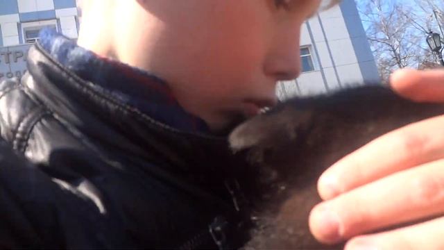 настящее видео про собаку рекса смотреть онлайн