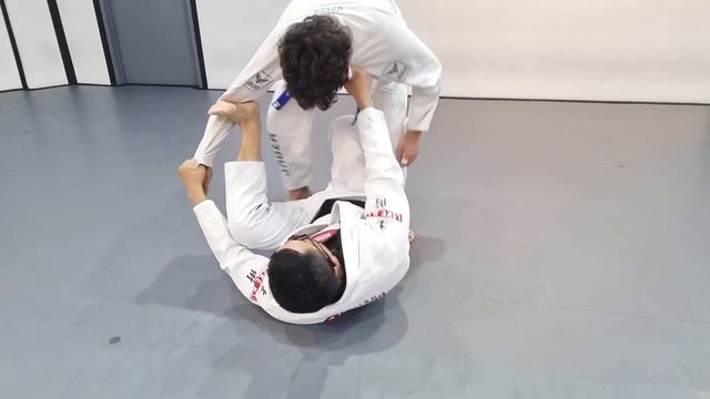 그냥 거미말고 왕거미 타란튤라 가드 (Tarantula guard) смотреть онлайн