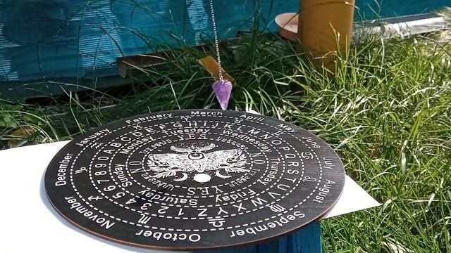 Доска бражник смотреть онлайн