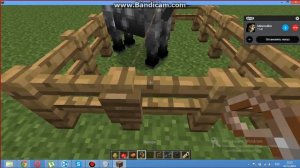 как приручить лошадь