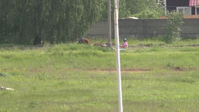 1 Раменский ипподром 06.06.2020 - Лошади рожд. 2018г. орловской породы смотреть онлайн