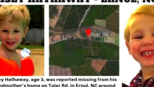 Медведь встретил мальчика в лесу, то, что произошло, заставляет плакать смотреть онлайн