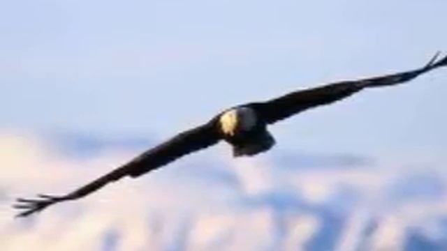 от Натальи Ракицкой. Красиво)) смотреть онлайн