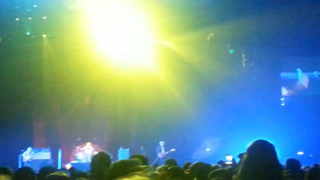 Animal by Neon Trees смотреть онлайн