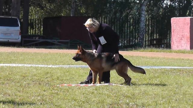 № 144, ERNA IZ BELOGO JARA смотреть онлайн