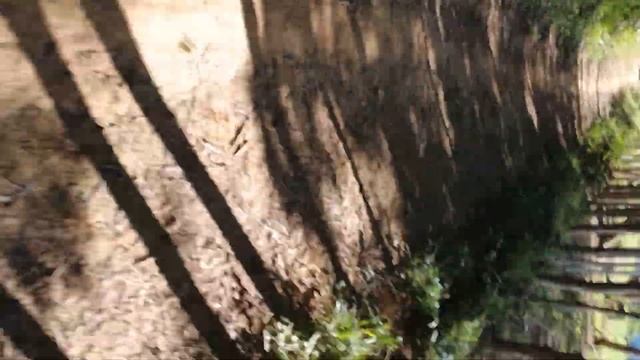 Asics Gel Sonoma 7 Review