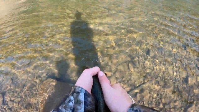 Big Creek Catching Brown Trout on Spoons (BROWN TROUT) смотреть онлайн