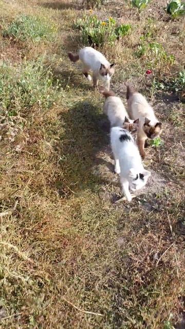 2 октября 2023 г. смотреть онлайн