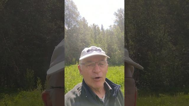 Отправить смотреть онлайн