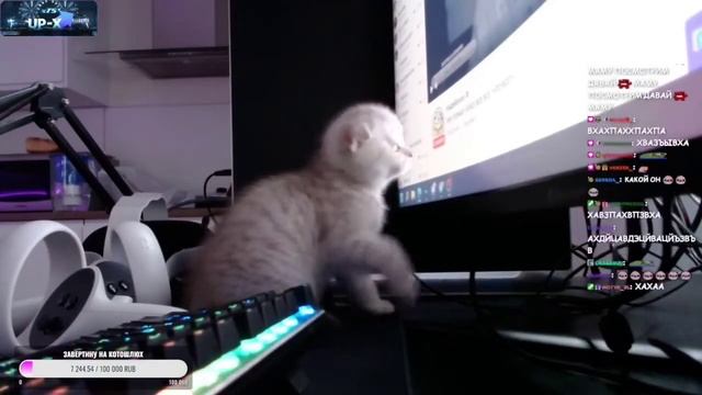 Гимн Канала Zavertina/Гимн канала Завертина смотреть онлайн