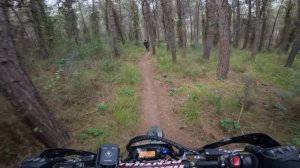 Surron Ultra Bee в лесу.