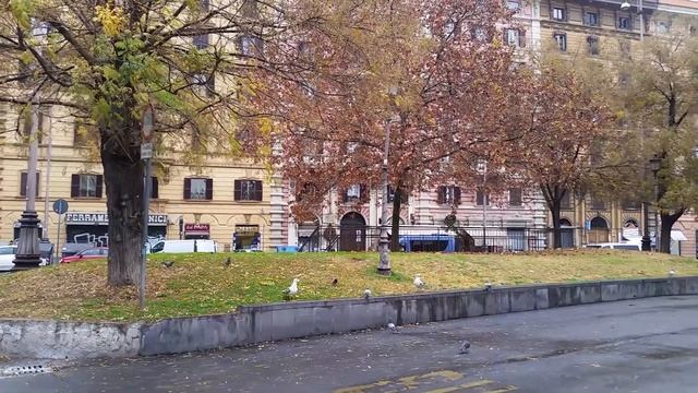 Чайки в Ватикане смотреть онлайн