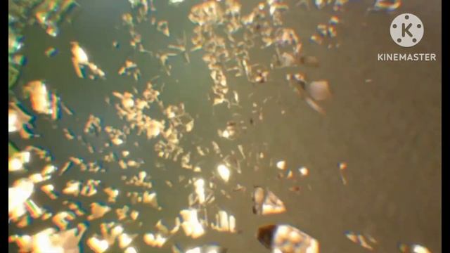 клип про ужасного кенге монстр варан смотреть онлайн