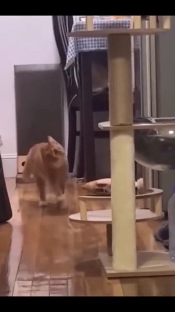 Когда пришел домой и делаешь вид что не пил смотреть онлайн