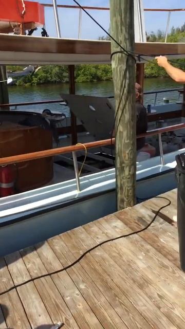 Feb. 9, 2017 with a 318 pound Warsaw Grouper смотреть онлайн