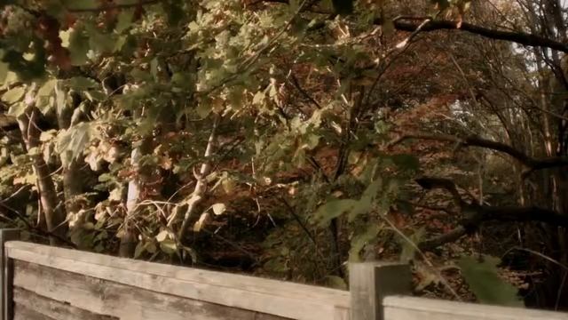 Proaim Spark Camera Video Slider смотреть онлайн