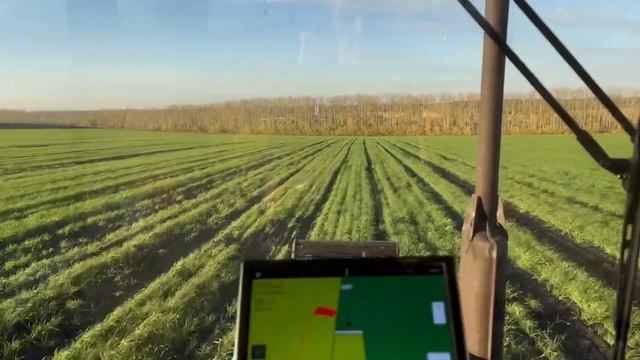 Пшеница 2025. смотреть онлайн